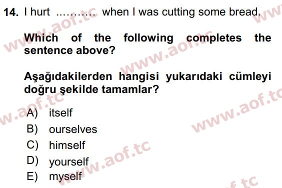 2016 İngilizce 2 Yaz Okulu 14. Çıkmış Sınav Sorusu