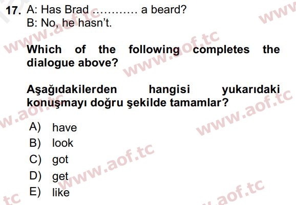 2016 İngilizce 2 Yaz Okulu 17. Çıkmış Sınav Sorusu