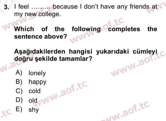 2016 İngilizce 2 Yaz Okulu 3. Çıkmış Sınav Sorusu