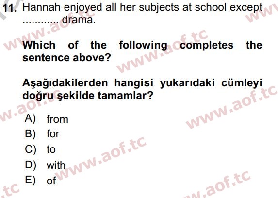 2017 İngilizce 2 Yaz Okulu 11. Çıkmış Sınav Sorusu