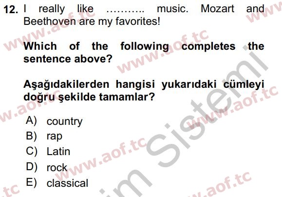 2017 İngilizce 2 Yaz Okulu 12. Çıkmış Sınav Sorusu
