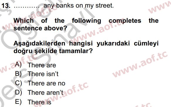 2017 İngilizce 2 Yaz Okulu 13. Çıkmış Sınav Sorusu