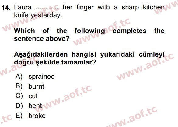 2017 İngilizce 2 Yaz Okulu 14. Çıkmış Sınav Sorusu