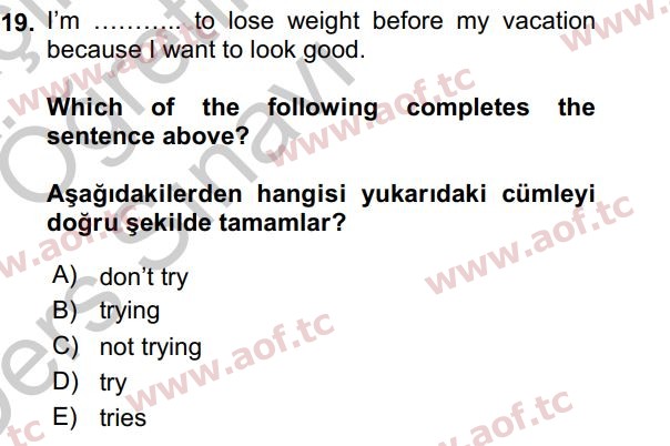 2017 İngilizce 2 Yaz Okulu 19. Çıkmış Sınav Sorusu