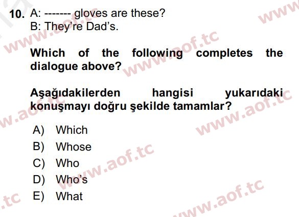 2018 İngilizce 2 Yaz Okulu 10. Çıkmış Sınav Sorusu