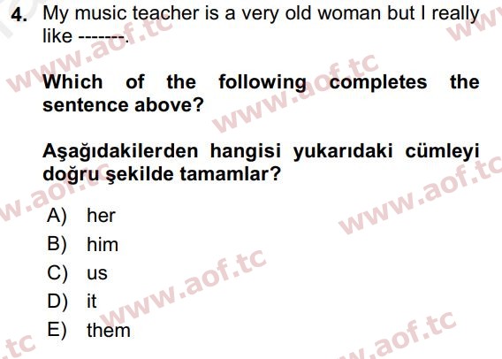 2018 İngilizce 2 Yaz Okulu 4. Çıkmış Sınav Sorusu