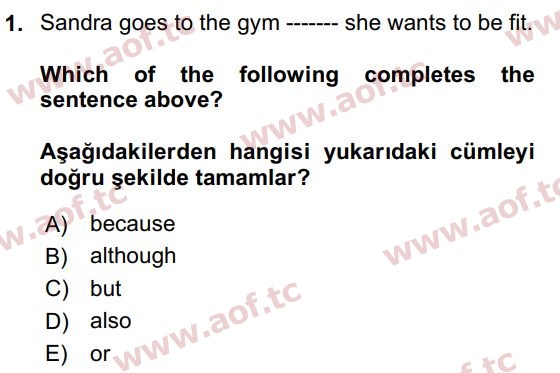 2019 İngilizce 2 Yaz Okulu 1. Çıkmış Sınav Sorusu