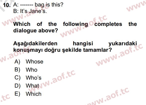 2019 İngilizce 2 Yaz Okulu 10. Çıkmış Sınav Sorusu