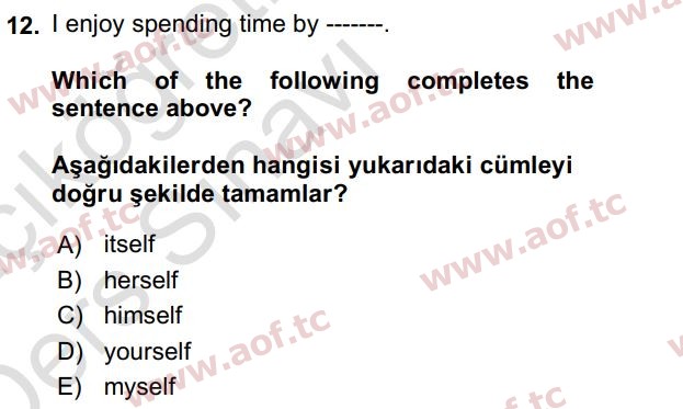 2019 İngilizce 2 Yaz Okulu 12. Çıkmış Sınav Sorusu