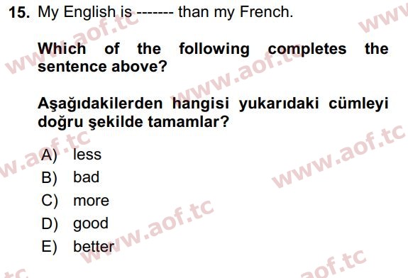 2019 İngilizce 2 Yaz Okulu 15. Çıkmış Sınav Sorusu