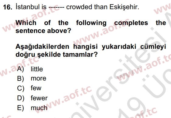 2019 İngilizce 2 Yaz Okulu 16. Çıkmış Sınav Sorusu