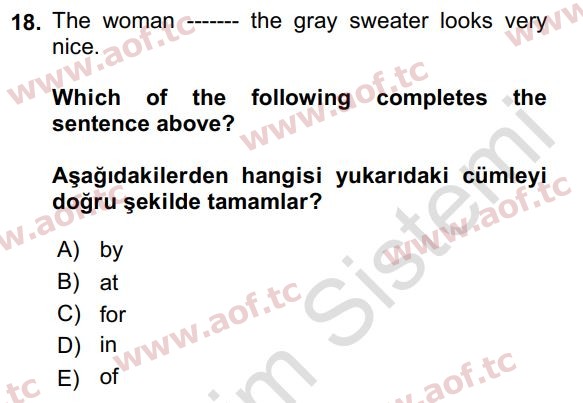 2019 İngilizce 2 Yaz Okulu 18. Çıkmış Sınav Sorusu
