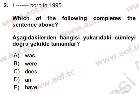 2019 İngilizce 2 Yaz Okulu 2. Çıkmış Sınav Sorusu