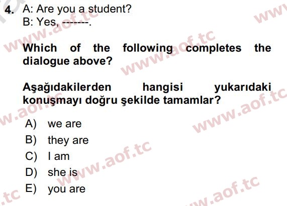 2019 İngilizce 2 Yaz Okulu 4. Çıkmış Sınav Sorusu