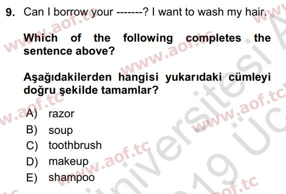 2019 İngilizce 2 Yaz Okulu 9. Çıkmış Sınav Sorusu