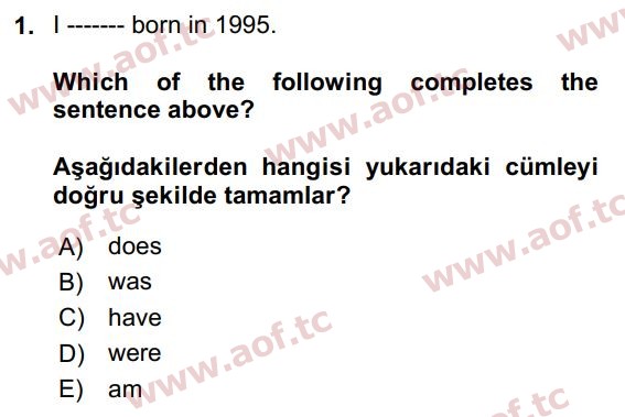 2020 İngilizce 2 Yaz Okulu 1. Çıkmış Sınav Sorusu