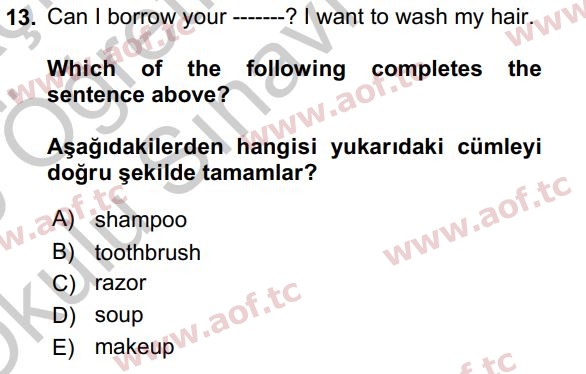 2020 İngilizce 2 Yaz Okulu 13. Çıkmış Sınav Sorusu