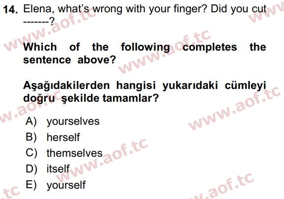 2020 İngilizce 2 Yaz Okulu 14. Çıkmış Sınav Sorusu