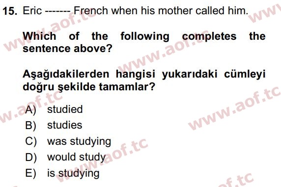 2020 İngilizce 2 Yaz Okulu 15. Çıkmış Sınav Sorusu