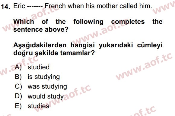 2021 İngilizce 2 Yaz Okulu 14. Çıkmış Sınav Sorusu