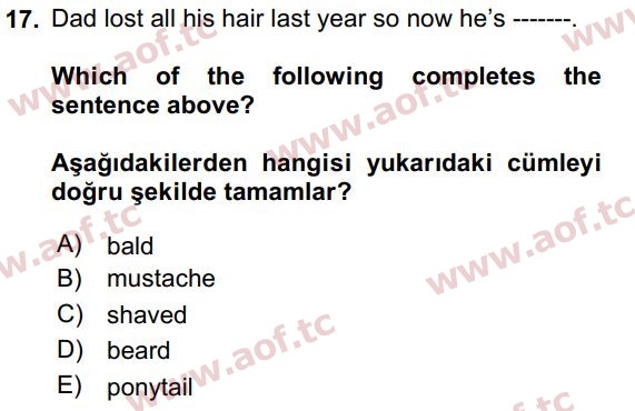 2021 İngilizce 2 Yaz Okulu 17. Çıkmış Sınav Sorusu