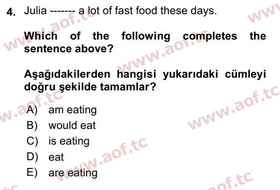2021 İngilizce 2 Yaz Okulu 4. Çıkmış Sınav Sorusu