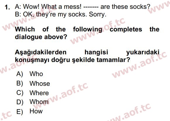 2022 İngilizce 2 Yaz Okulu 1. Çıkmış Sınav Sorusu