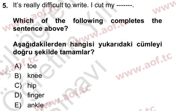 2022 İngilizce 2 Yaz Okulu 5. Çıkmış Sınav Sorusu