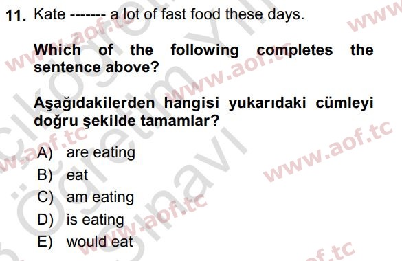2023 İngilizce 2 Yaz Okulu 11. Çıkmış Sınav Sorusu