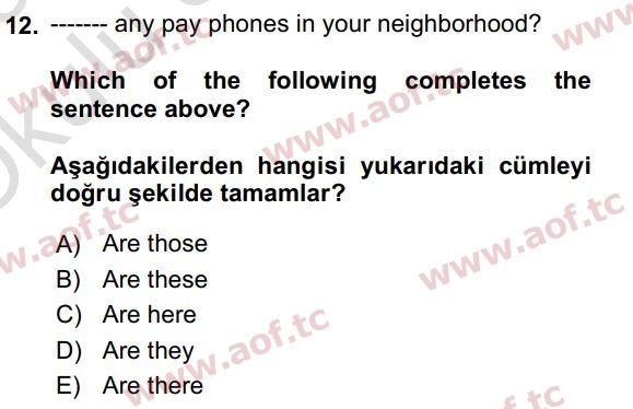 2023 İngilizce 2 Yaz Okulu 12. Çıkmış Sınav Sorusu
