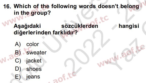 2023 İngilizce 2 Yaz Okulu 16. Çıkmış Sınav Sorusu