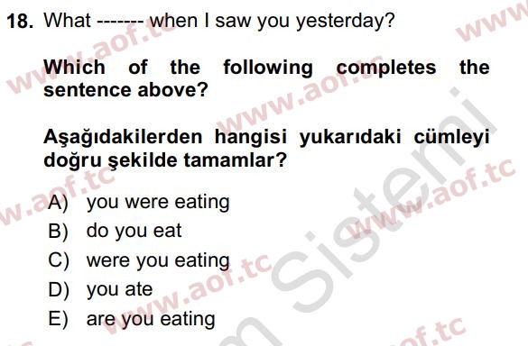 2023 İngilizce 2 Yaz Okulu 18. Çıkmış Sınav Sorusu