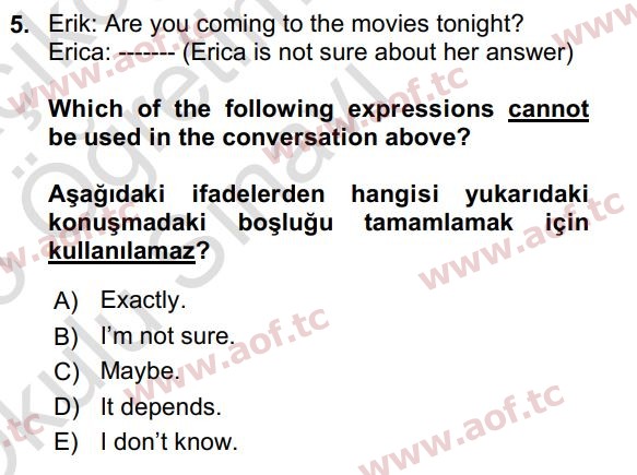 2023 İngilizce 2 Yaz Okulu 5. Çıkmış Sınav Sorusu