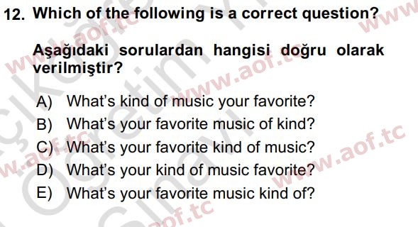 2024 İngilizce 2 Yaz Okulu 12. Çıkmış Sınav Sorusu