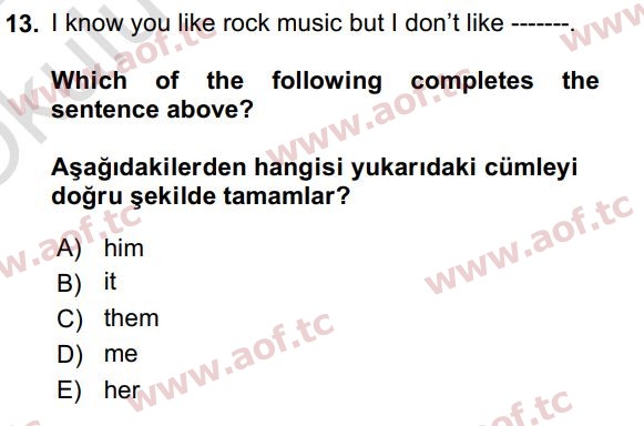 2024 İngilizce 2 Yaz Okulu 13. Çıkmış Sınav Sorusu