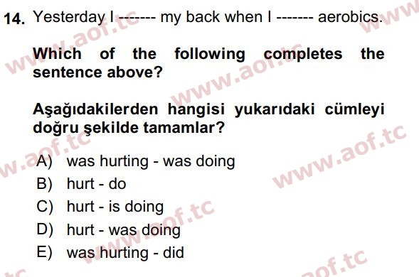 2024 İngilizce 2 Yaz Okulu 14. Çıkmış Sınav Sorusu