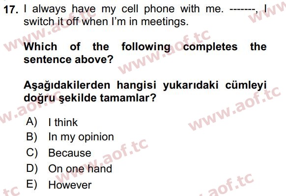 2024 İngilizce 2 Yaz Okulu 17. Çıkmış Sınav Sorusu