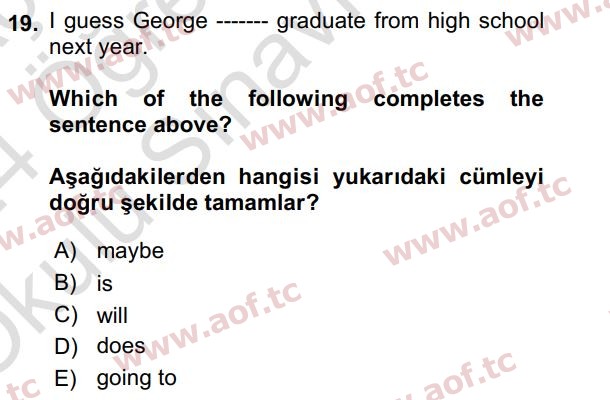2024 İngilizce 2 Yaz Okulu 19. Çıkmış Sınav Sorusu