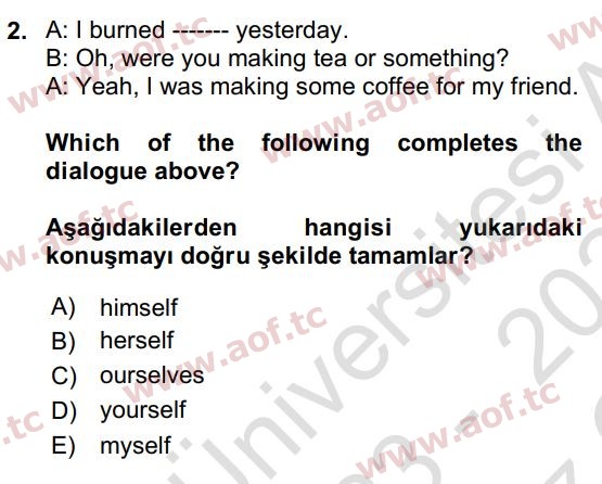 2024 İngilizce 2 Yaz Okulu 2. Çıkmış Sınav Sorusu