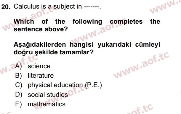 2024 İngilizce 2 Yaz Okulu 20. Çıkmış Sınav Sorusu