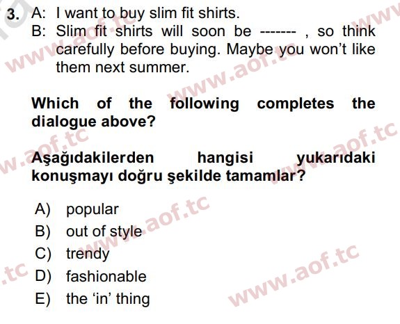 2024 İngilizce 2 Yaz Okulu 3. Çıkmış Sınav Sorusu