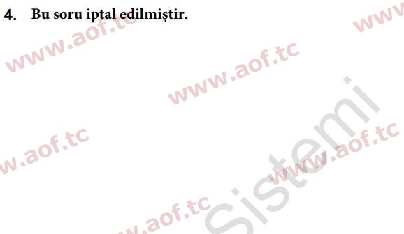 2024 İngilizce 2 Yaz Okulu 4. Çıkmış Sınav Sorusu