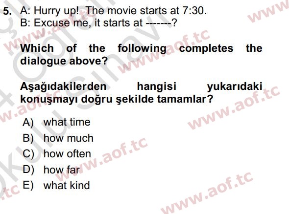2024 İngilizce 2 Yaz Okulu 5. Çıkmış Sınav Sorusu