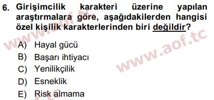 2017 Girişimcilik ve İş Kurma Arasınav 6. Çıkmış Sınav Sorusu