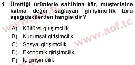 2017 Girişimcilik ve İş Kurma Final 1. Çıkmış Sınav Sorusu