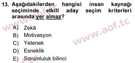 2016 İnsan Kaynakları Yönetimi Arasınav 13. Çıkmış Sınav Sorusu