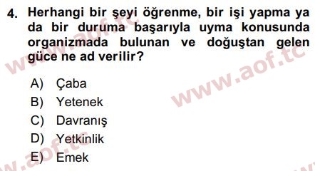 2016 İnsan Kaynakları Yönetimi Arasınav 4. Çıkmış Sınav Sorusu