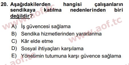 2016 İnsan Kaynakları Yönetimi Final 20. Çıkmış Sınav Sorusu