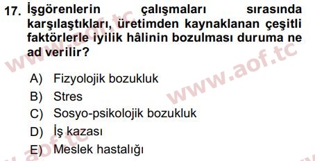 2017 İnsan Kaynakları Yönetimi Final 17. Çıkmış Sınav Sorusu