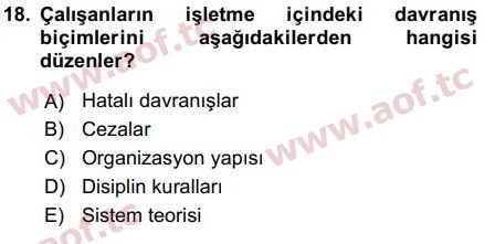 2017 İnsan Kaynakları Yönetimi Final 18. Çıkmış Sınav Sorusu